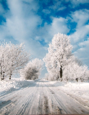 Bus Rentals After Holidays