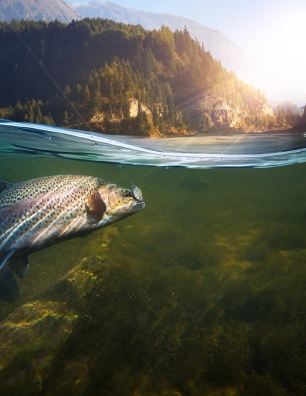 Bus Rentals for a Fishing Trip